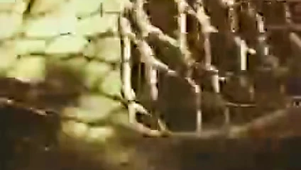 Seks (tanrıça madonna)