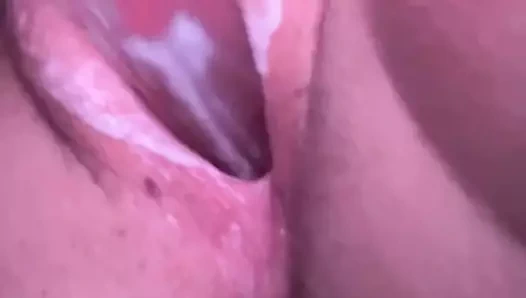 lanet benim küçük kedi