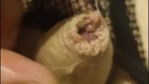 Külotlu ve iç çamaşırlı küçük yarak derlemesi slayt gösterisi