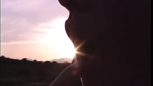 İki azgın birbirlerini yalamanın tadını çıkarıyor