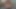 Xhamster'da en çok takip edilen kraliyet çifti