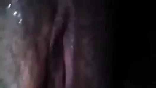 Amcık