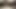 pov sıkı KEDİ