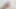 Archangel - ateşli pawg orta yaşlı seksi kadın Nina Elle, muhteşem götünü ya da Nat Turner'ın büyük büyük zenci yarağını teşhir ediyor