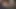 Orta yaşlı seksi kadın kaygan yarak emiyor