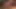 Chloe Delaure dildo ve yarak savaşına giriyor ve yarak kazanıyor