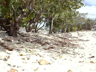 Lezbiyen üzerinde tatil 2