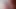 Brown and white BBW sluts deepthroat gagging on double ended dildo