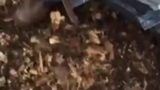 mastürbasyon ile arkadaş 01