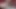 Doğal oral seks! Ts Sarina Valentina ve seksi Angelina Valentine öpüşüyor!