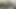 Külotlu çoraplı web kızı 221