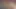 Minyon tatlı pepper xo hayranları için sert sikişmeden önce sert yarağını ellerine ve ağzına alıyor