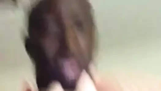 Baltimore anneanne ucube7