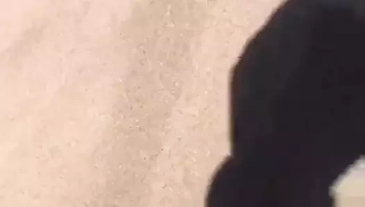 carolina rojas villareyes 3e