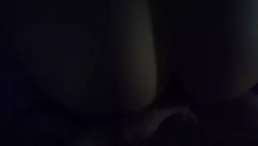 Pecorina