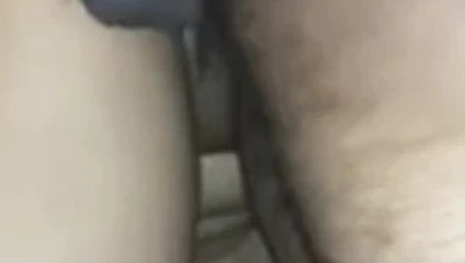 Punjabi eş becerdin tarafından büyük Hint horoz