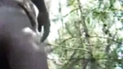 ABUELO EN EL BOSQUE 1