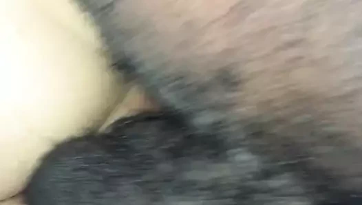 bbc ve fransız KEDİ yok