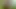 :) :)