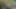 Koca birlikte lanet eşek deliği ve kedi yapay penis - dp