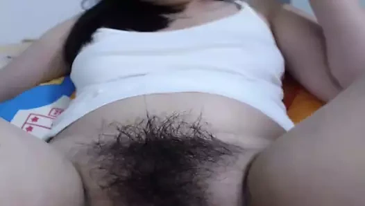 yakın yukarı kıllı KEDİ 2