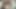 Indian Porn