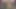 Minyon tatlı pepper xo hayranları için sert sikişmeden önce sert yarağını ellerine ve ağzına alıyor