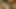 Rayveness pov bj