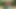 Bu kızıl saçlı Belçikalı ne istediğini (penis) biliyor ve istediğini yapıyor