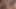 Biseksüel göt sikişi anal dildo sikiliyor