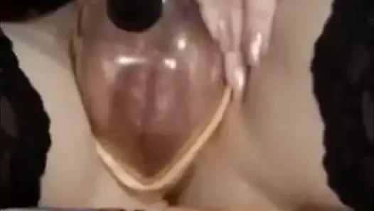 Vakum pompası kedi oyunu.