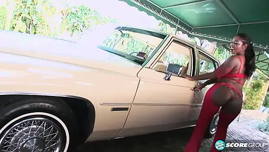 Delotta gezmeye çıkıyor