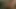 Sürtükler sınıfta yarağı paylaşıyor ve boşalıyor
