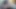 Göt gibi bir kedi