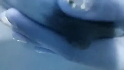 las tetas de mi amada