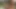 İki muhteşem kız havuz başında dildo paylaşıyor
