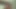 Boşalma grup seks partisi - edepsiz orta yaşlı seksi kadın motocat - 60108