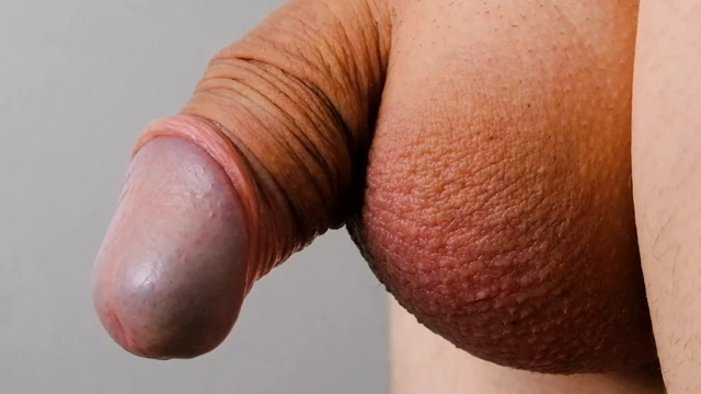 Küçük yumuşak sünnetsiz penis ve sünnet derisi üzerinde çok yakın çekim
