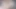 Kuklalar için video, boğa muhteşem bir sarışınla eğleniyor