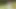 Sevimli genç kız Annabelle Lee'nin anal seksi