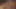 Derleme : asura gif ve video (eşcinsel)