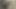 Üvey erkek kardeşinin yarağına binerken sonunda tüm spermini çıkardı