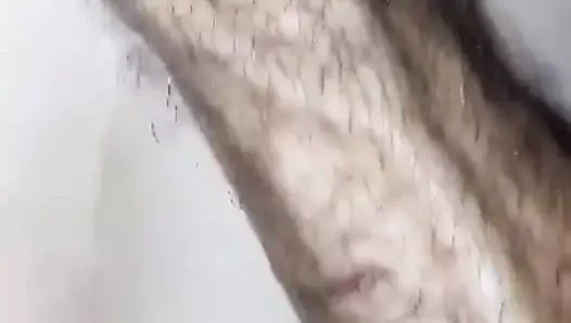 Punim moju bezobraznicu