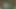 Büyük memeli esmer sert yarağı emiyor ve biniyor