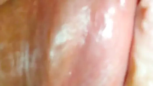 Sıkı küçük kedi