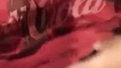 kahverengi civciv 12