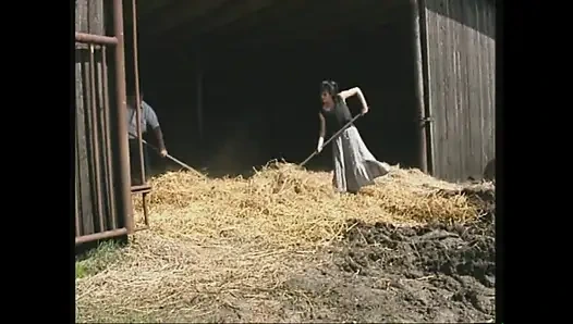 Çiftlikte Ahlaksız Mola