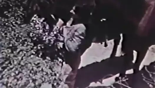 Peepshow döngüleri 297