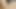 Tattooed les pussylicking dyke in shower