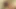 Seksi dövmeli esmer juelz ventura emiyor ve yaraktan hoşlanıyor,